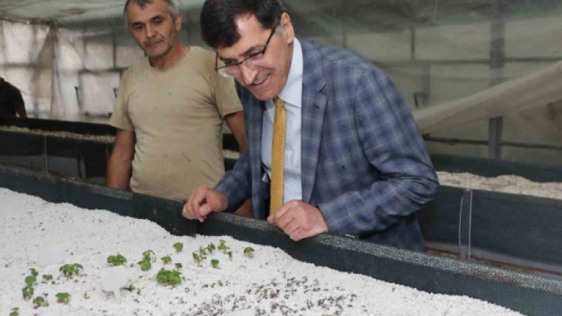 Başkan Eyüp Kahveci Tıbbi ve Aromatik Bitki Merkezini inceledi