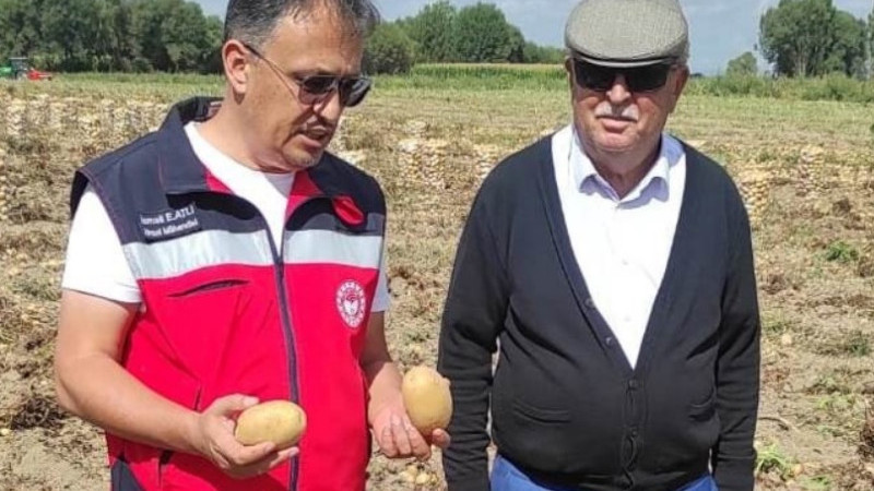 Altıntaş’ta patates ekiliş ve hasat kontrolleri