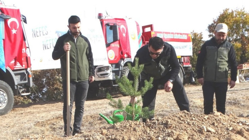 Hisarcık’ta 120 fidan dikildi