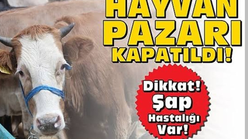 Hayvan Pazarları Kapatıldı