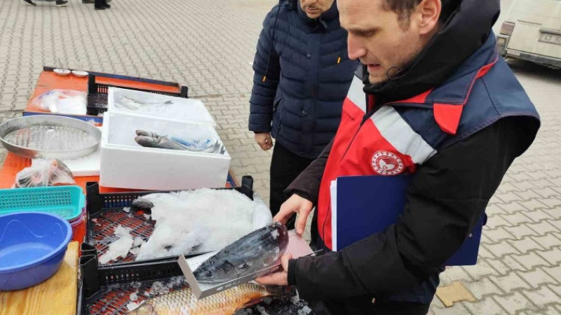 Çavdarhisar’da balık satış yeri denetimleri