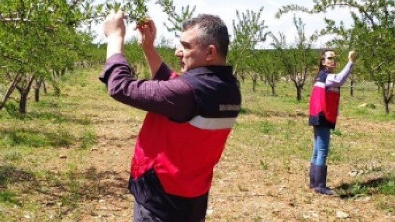 Altıntaş’ta zirai don kontrolleri
