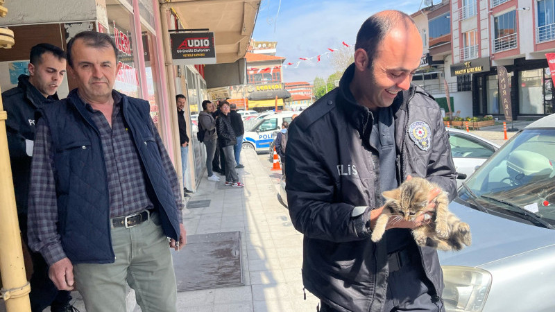 Tavşanlı'da yavru kedi esnaf ve polis sayesinde ölümden döndü