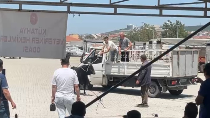 Kaçan kurbanlık halat sallanarak tutuldu