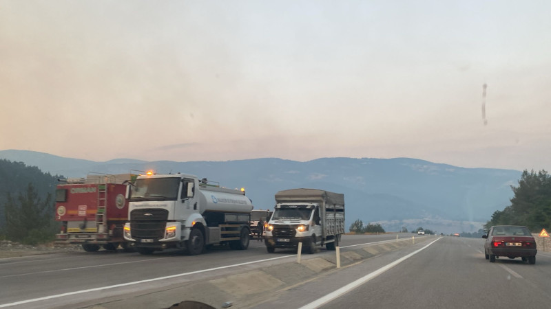 Bursa Balıkesir sınırında orman yangını 