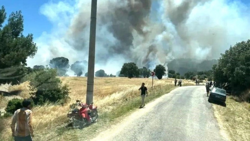 Kütahya’daki yangında 60 hektar ormanlık ve 50 hektarlık ziraat alanı zarar gördü