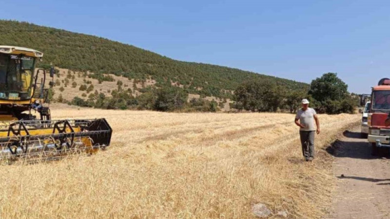 Simav’da biçerdöverlerin biçim yasağına uyup uymadığı kontrol ediliyor