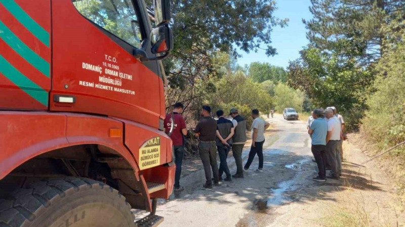 Domaniç’te bahçelik alanda çıkan yangın kısa sürede kontrol altına alındı
