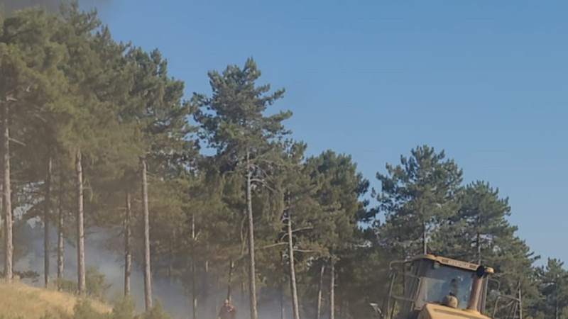 Tunçbilek beldesinde yangın 