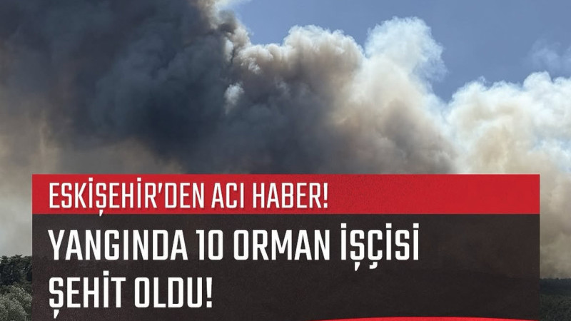 11 Orman işçisi yangın nedeniyle şehit oldu