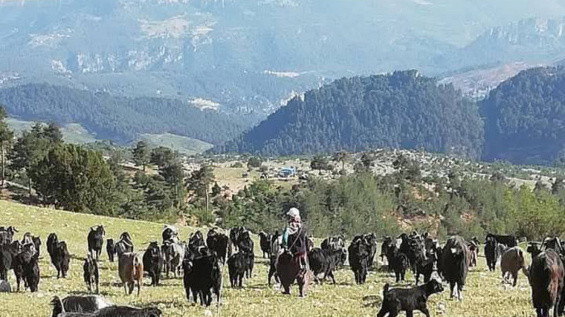 Aşırı sıcaklara karşı köyden uyarı 