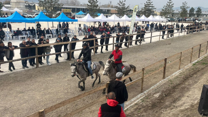 Tavşanlı’da Rahvan at yarışları büyük ilgi gördü
