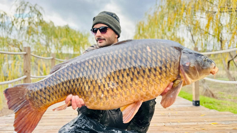 Bilecik'te Tuttuğu 21,5 Kiloluk Dev Sazanı Geri Bıraktı!