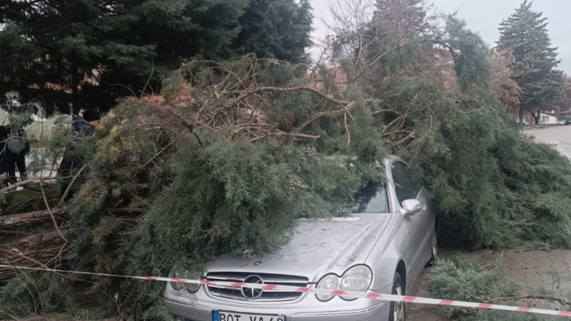 Gediz’de şiddetli rüzgar 