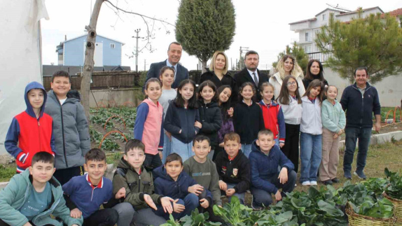 Altıntaş ‘ta ilk hasat ıspanak 