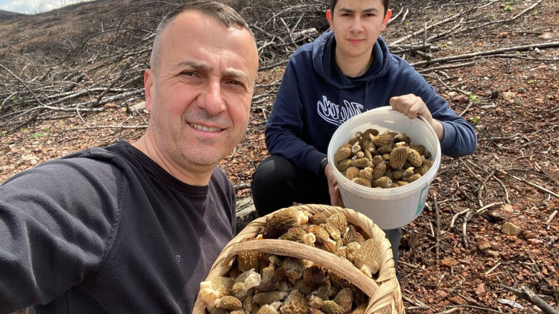 Baba oğulun mantar avı