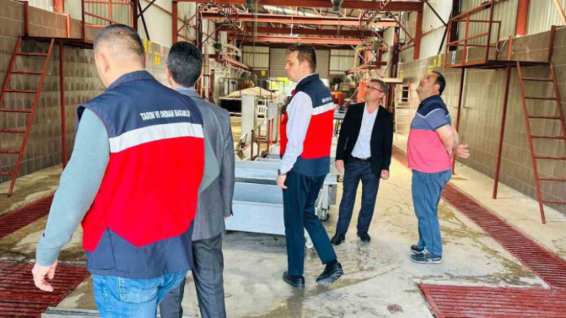 Kurban kesim yerlerine denetim 
