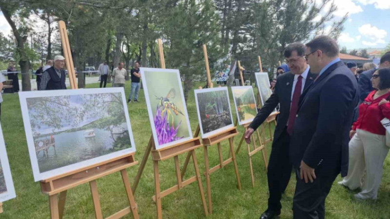 Kadın gözüyle doğanın dili 