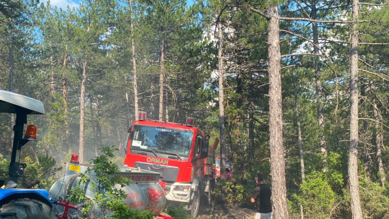 Orman yangını çıkış sebebi belli oldu