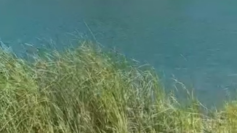 Gölet kenarlarına atılan çöpler tepki topluyor