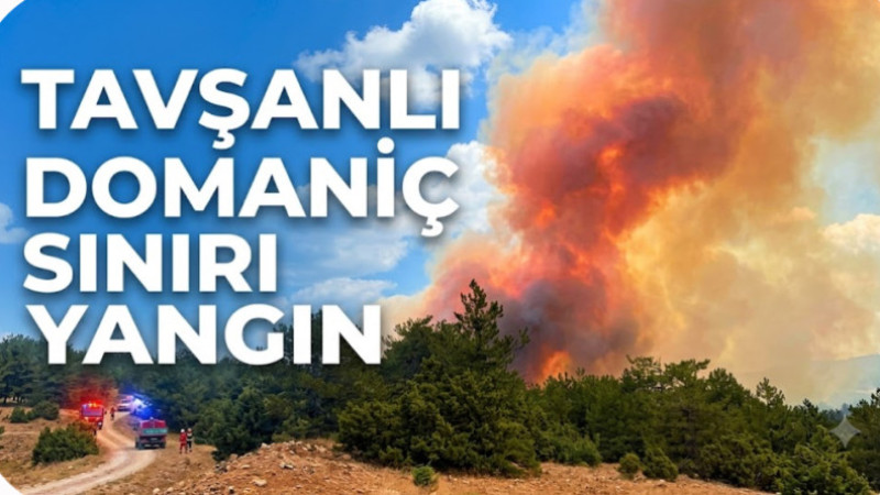 Orman yangını