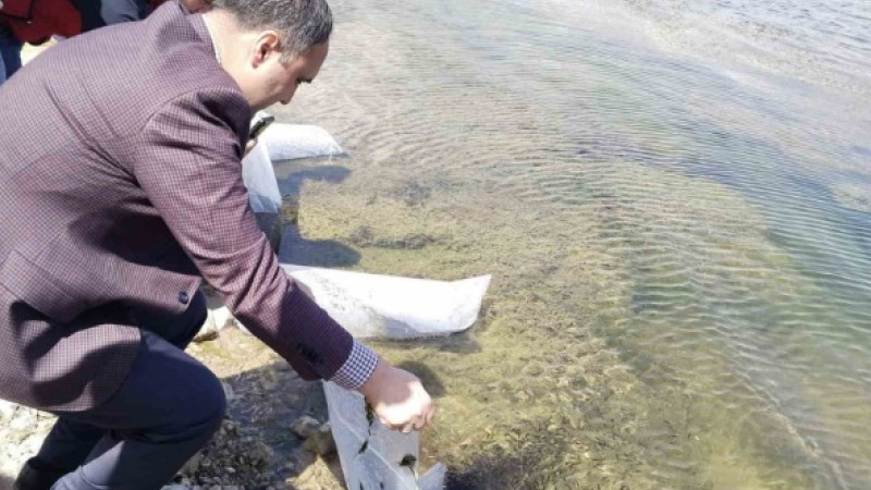 Aslanapa Kureyşler Göleti’ne 140 bin sazan yavrusu bırakıldı
