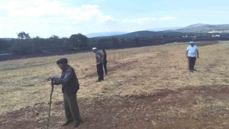 Kütahya’da yangının ardından tarım arazilerinde hasar tespiti