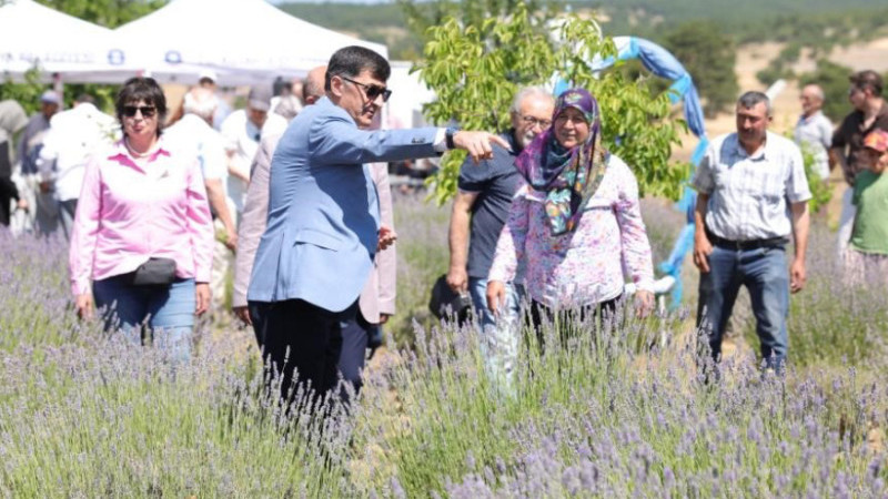 Kütahya’da lavanta hasadı