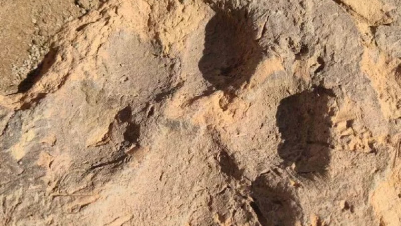BŞEÜ akademisyenleri Tavşanlı Höyük'te 4 bin yıllık köpek pati izleri buldu