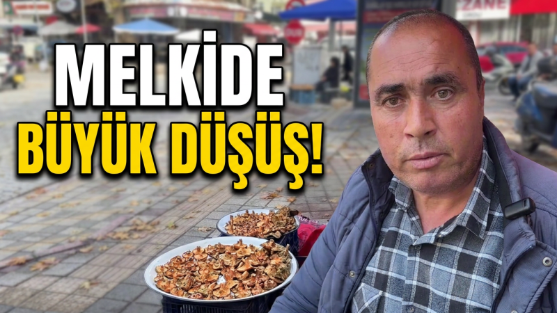 KÖYLÜ PAZARINDA MANTAR HAREKETLİLİĞİ