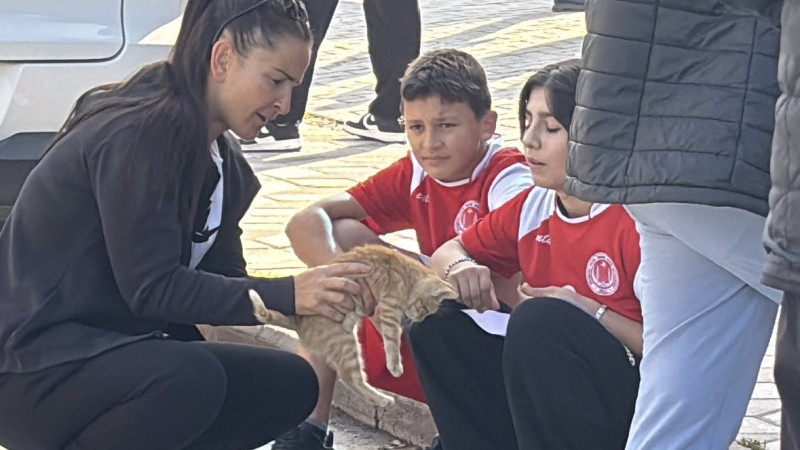 Tarihi kesitlerle koşu , yavru kedi renk kattı